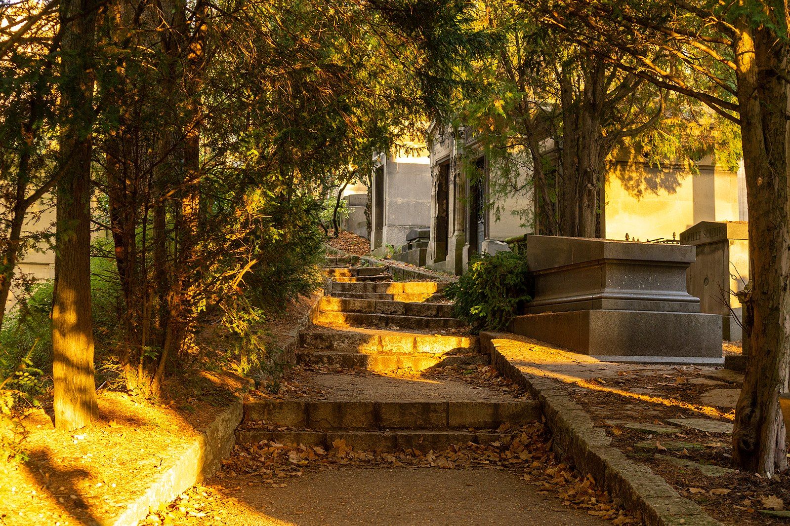 1599px-Père_Lachaise_Cemetery_at_Golden_Hour_in_November_2019_2.jpg