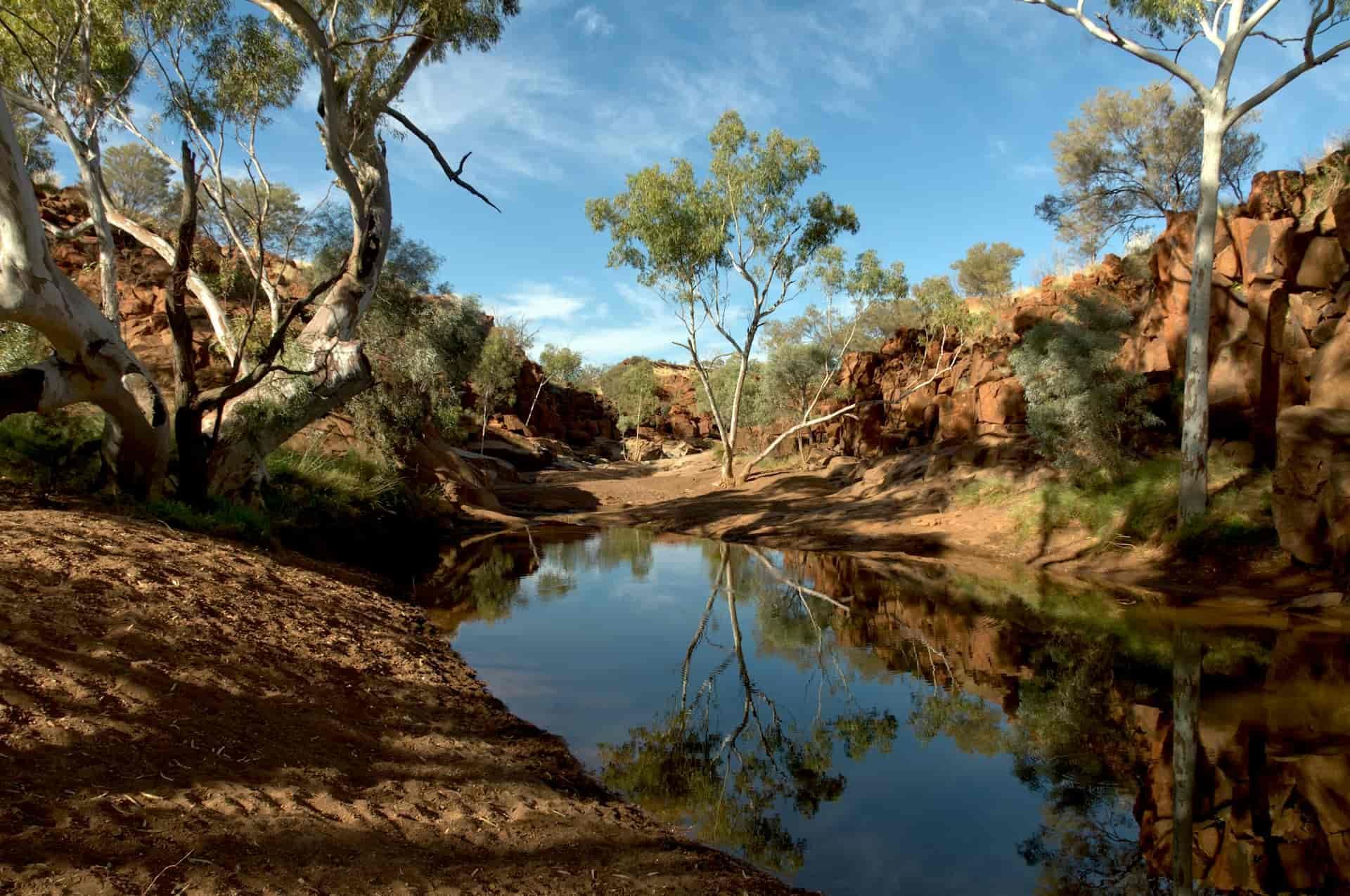 Outback waterhole with gum trees and red rock gorge, Australia