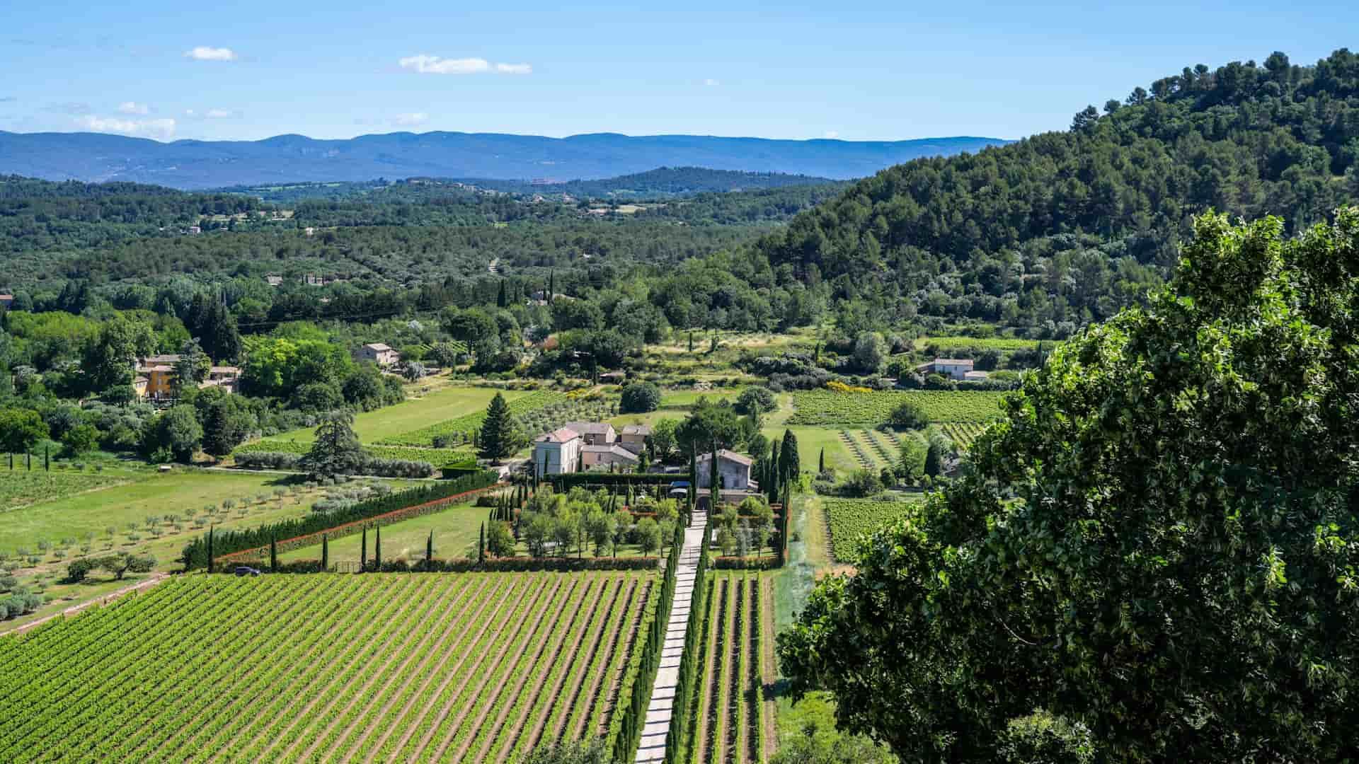 Aerial view of lush green vineyards and countryside in rural France