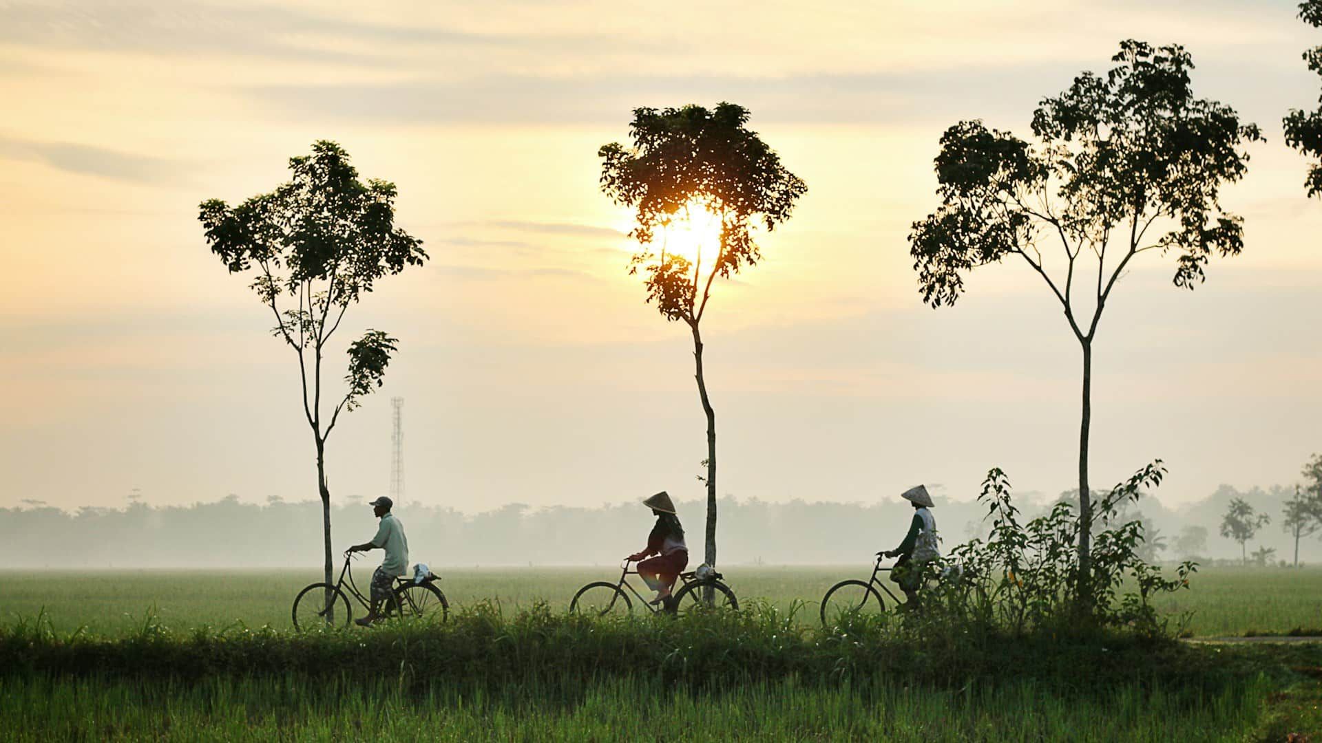 Cyclists riding through rural landscape at dawn.