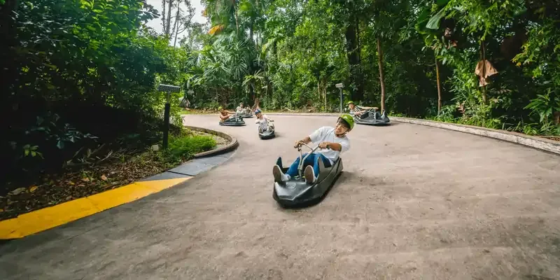 Skyline Luge.webp