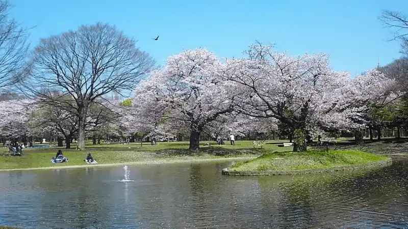 Source: Japan Guide