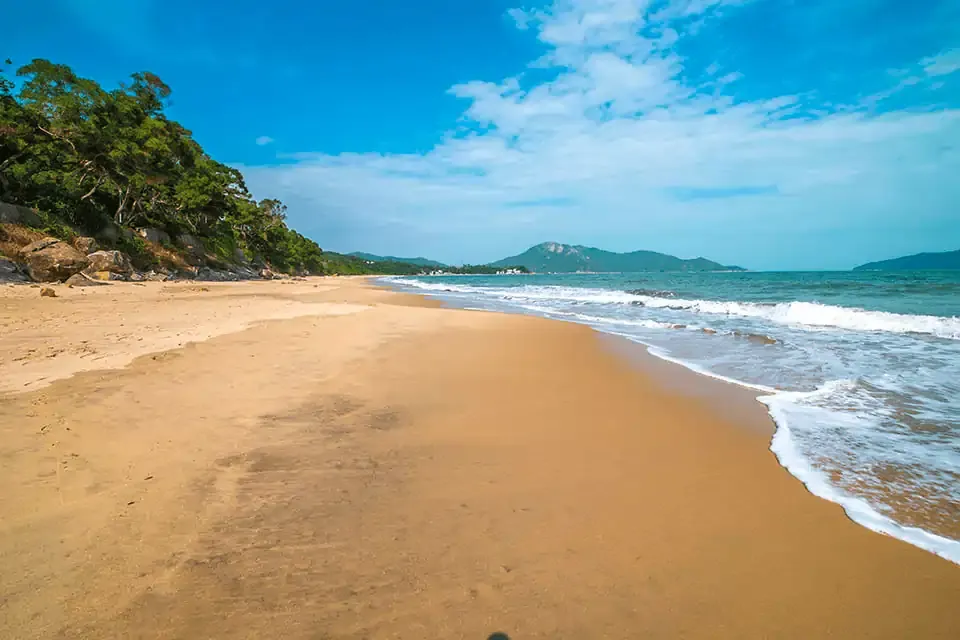 Golden sandy beach with gentle waves and lush green hills in the background at a secluded beach in Hong Kong under a clear blue sky