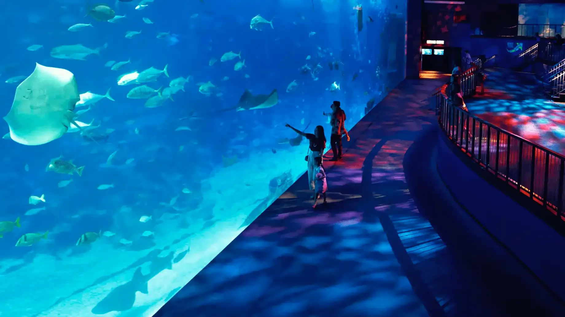 Source: Sentosa