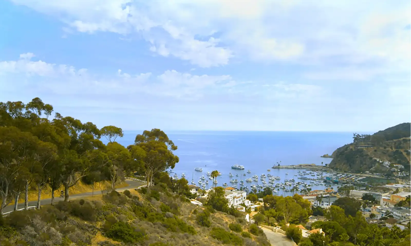 Source: Catalina Island
