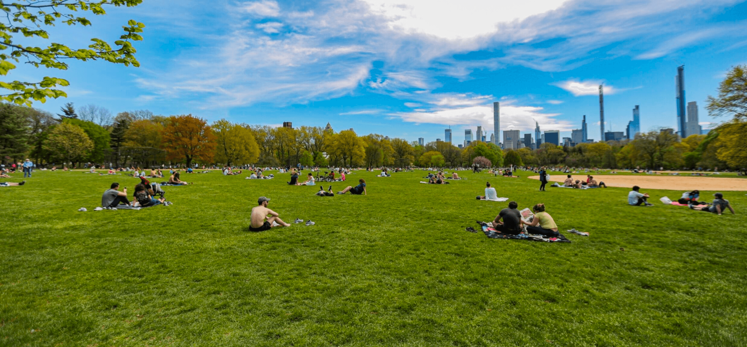 Cedar Hill  Central Park Conservancy