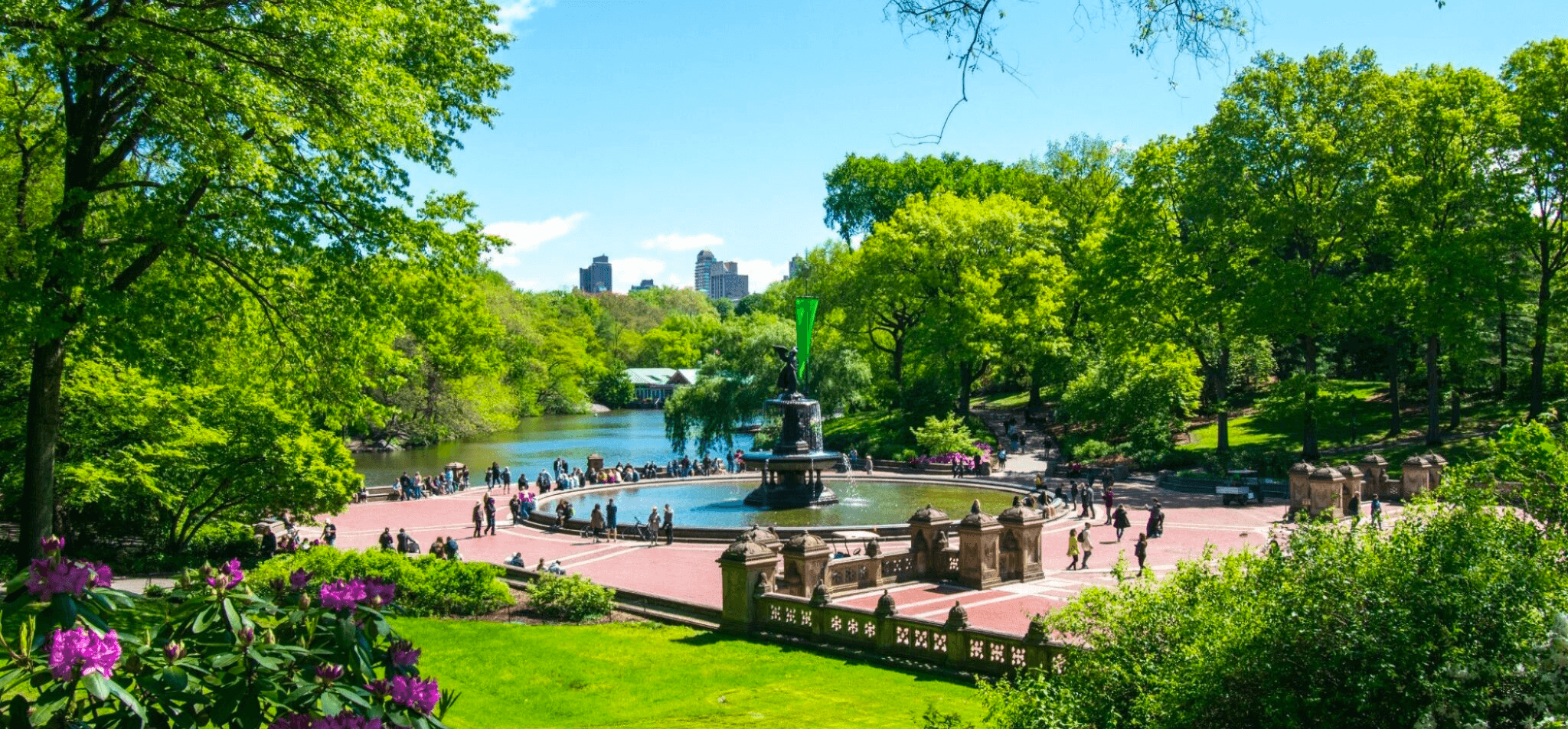 Cedar Hill  Central Park Conservancy