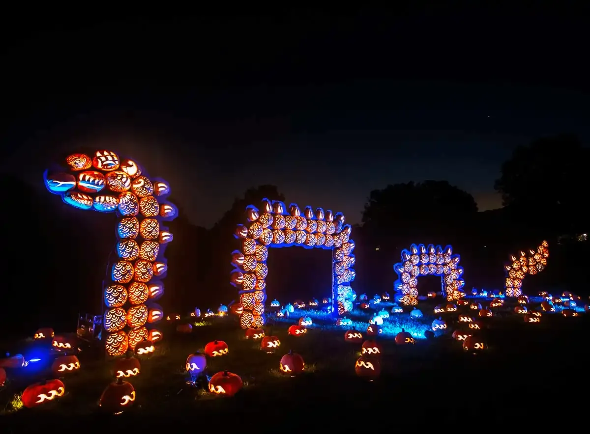 Source: Pumpkin Blaze