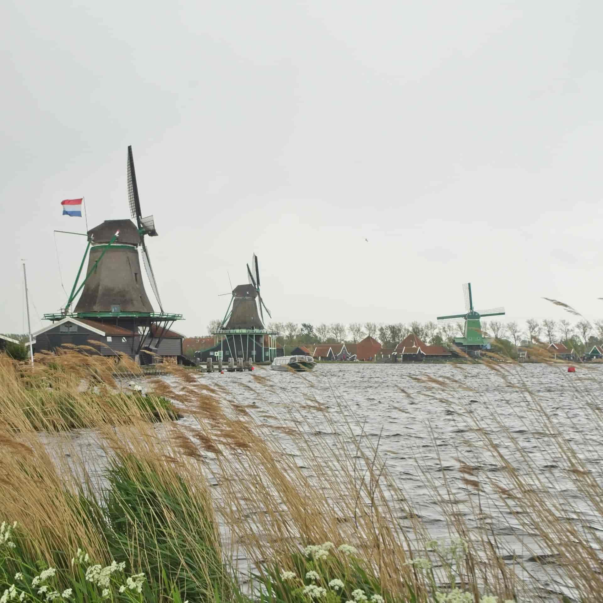 Traditional Dutch windmills along a river in the Netherlands.
