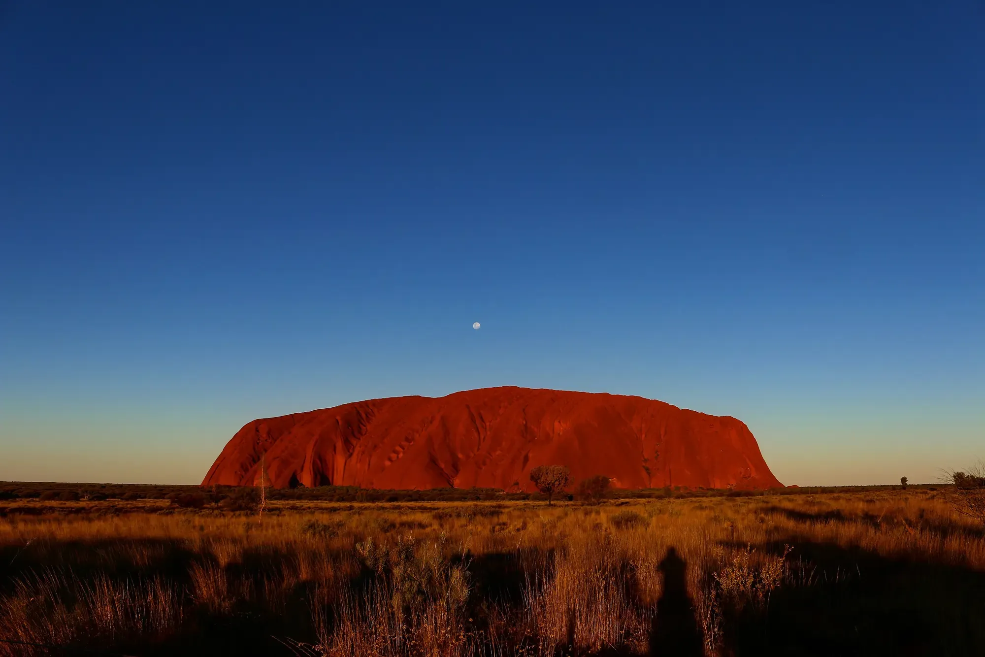 Uluru glowing red at sunset in Australia's Northern Territory under a clear blue sky.