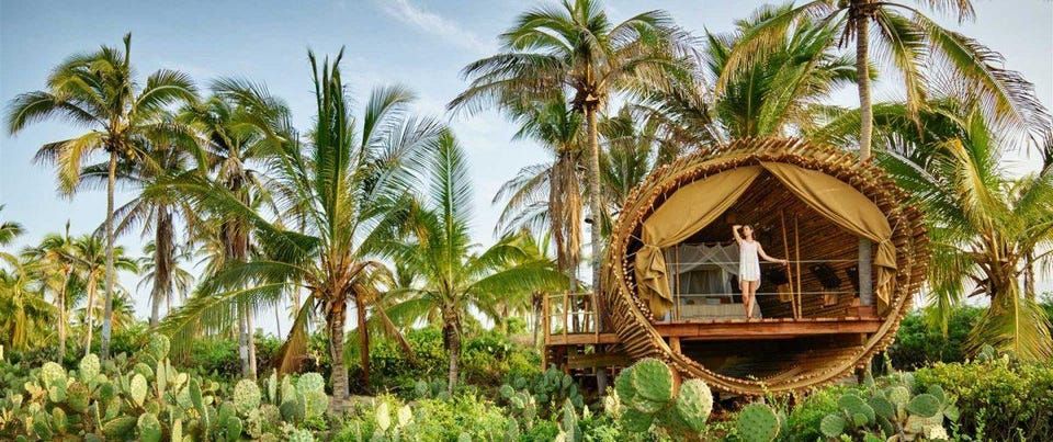 Playa Viva - a luxurious eco-resort in Mexico.