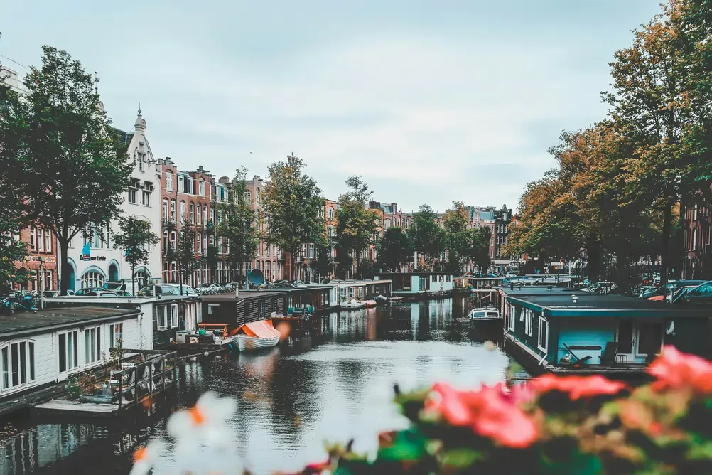 Views from Amsterdam