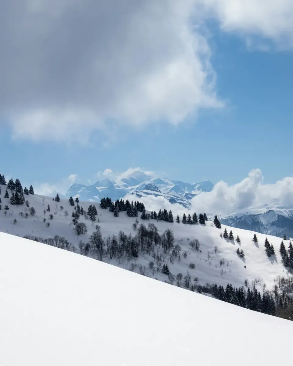 Snow-covered Alpine hills dotted with evergreen trees beneath a blue, cloudy sky.