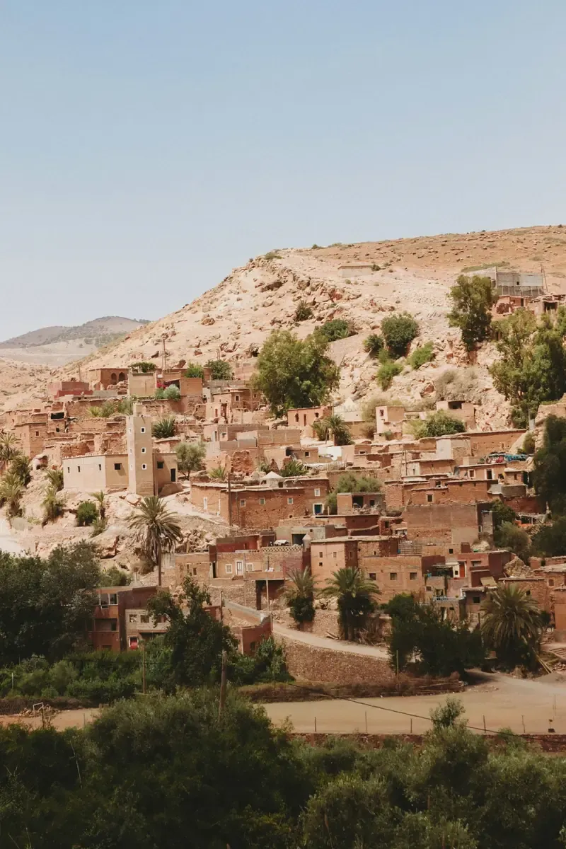 Traditional hillside village with earthen houses and palm trees in Morocco.